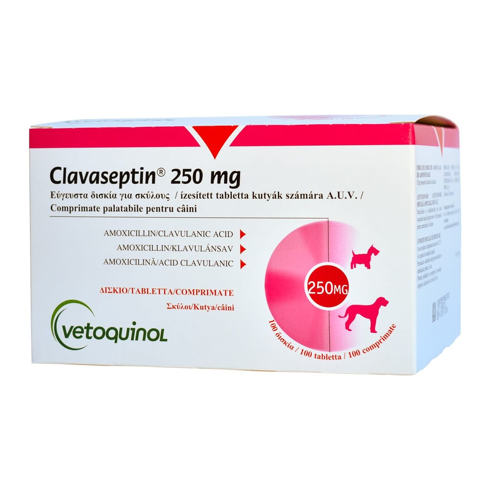 Clavaseptin 250 mg – équivalent KESIUM / BIOCLAMOX – Boîte 10 comprimés